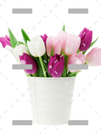 demo-attachment-167-colorful-tulips-bouquet-NFESY4P-copy-1