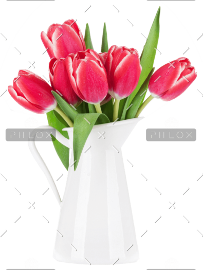 demo-attachment-99-red-tulip-flowers-bouquet-P85CFN2-e1585207182450