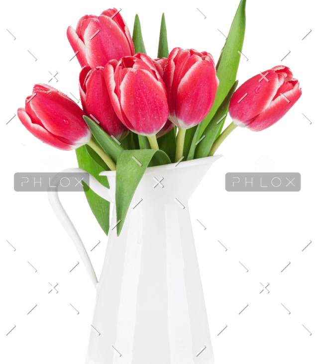 demo-attachment-99-red-tulip-flowers-bouquet-P85CFN2-e1585207182450